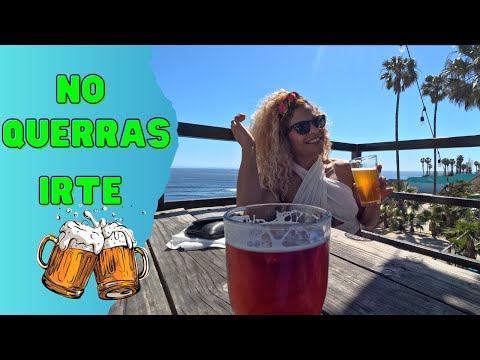 El MEJOR LUGAR para tomar CERVEZA en Rosarito frente al mar , Sin fronteras, Craft beer PET friendly