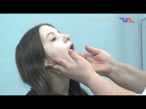 Выпуск программы “День” от 4 февраля 2025г.