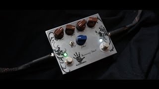Video thumbnail for Kleissonic - Screaming Skull by Dennis Kayzer