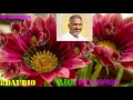 Thalattum Poongatru Song 8D Audio Surround Sound Use Headphones