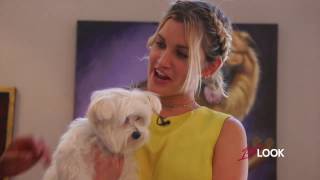 Ashley Roberts Sees the Luxurious Lifestyle of New Yorks Poshest Pooches