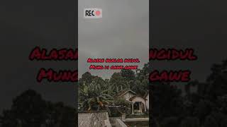 Download lagu Story WA Ojo Nguber Welase Syahiba Saufa mp3 Download lagu Story WA Ojo Nguber Welase Syahiba Saufa mp3