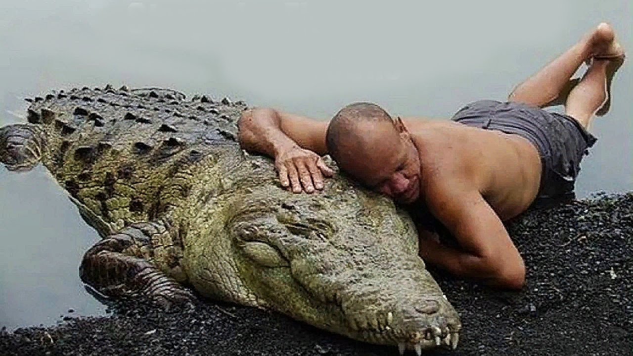 AS AMIZADES MAIS INCOMUNS ENTRE HUMANOS E ANIMAIS SELVAGENS