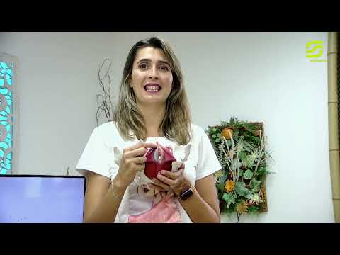 Buscando tu bienestar con Marina Gómez, episodio 1