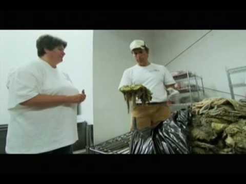 Dirty Jobs Fun with Tripe