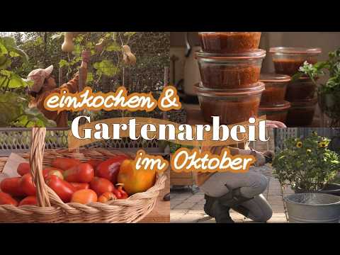 Gartenarbeit im Oktober 🌾 Hot Salsa Dip auf Vorrat einkochen mit Rezept
