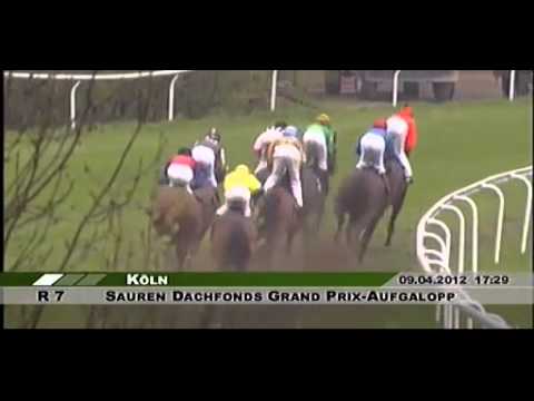 Grand Prix-Aufgalopp - Listenrennen (A) - Pferderenn Köln - 7. Rennen