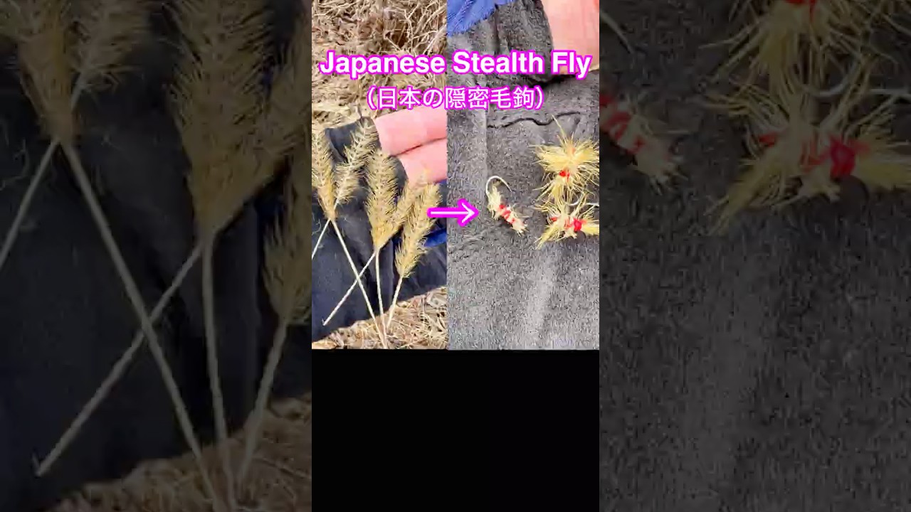 Cat toy vs Wild trout? 🐱🎣 - Second cup -#Tenkara #FlyFishing#tenkara