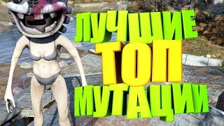Fallout 76: КАКИЕ ВЫБРАТЬ МУТАЦИИ? ТОП САМЫХ ЛУЧШИХ МУТАЦИЙ, СОВЕТЫ, ГАЙД, ВЕСЬ СПИСОК