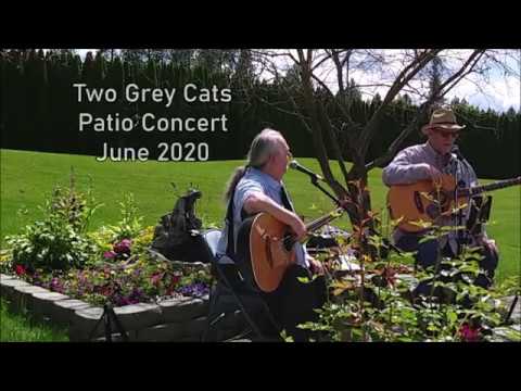 Promotional video thumbnail 1 for Two Grey Cats