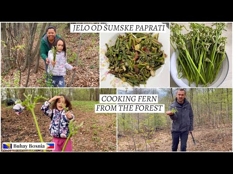 Traženje hrane u šumi | paprat i divlji luk | Foraging for fern and wild onion at the forest