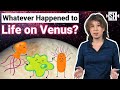 Whatever Happened to Life on Venus?