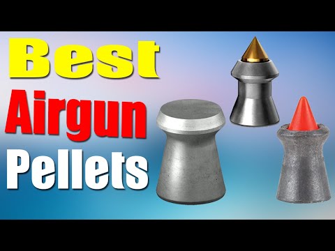 Top 10 Best Airgun Pellets for Hunting 2022
