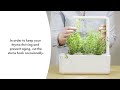 Click and Grow Smart Home 3 vnt. papildymas - čiobrelių sėklos