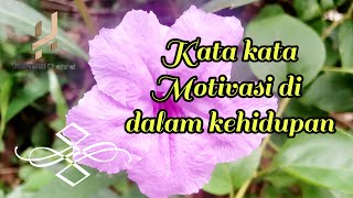 Download lagu kata kata motivasi, kata kata bijak mp3 Download lagu kata kata motivasi, kata kata bijak mp3