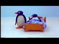 Pingu And Pinga Stay Up