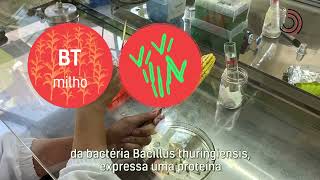 Miniatura do vídeo