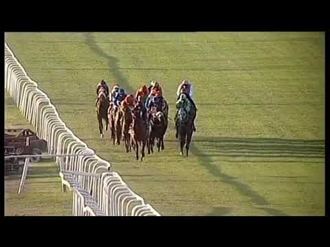 2019.07.27 eLan Gold Cup (RSA) - Dynasty's Blossom