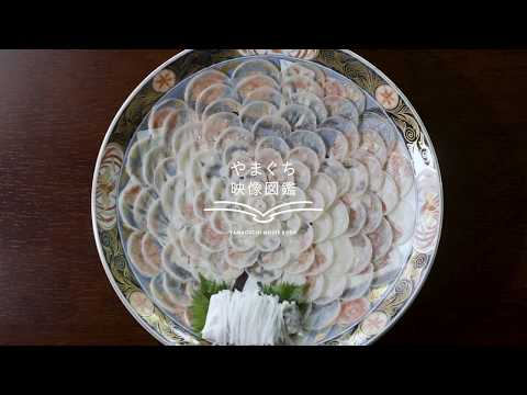 やまぐち映像図鑑 NO.150下関のふく［下関市］ | Shimonoseki Blowfish [ Shimonoseki-city ]