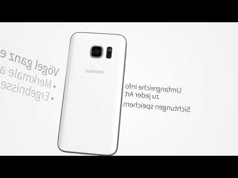 All Birds Germany  - A Sunbird Field Guide Video