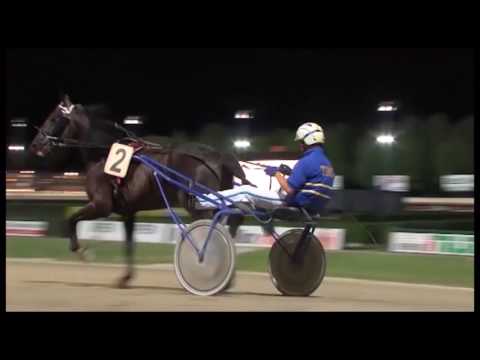 IPPICA: Sfida ad alta velocità tra Onoria e Teodora Caf | VIDEO