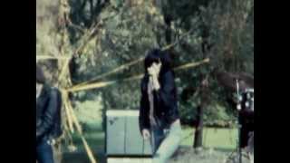 Joey Ramone - Rock n Roll Is The Answer (II video)