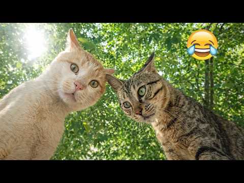 Funniest Animals 2026 🤣🐶 Best Moments Ever!