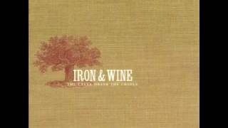 3--Faded From The Winter--Iron & Wine