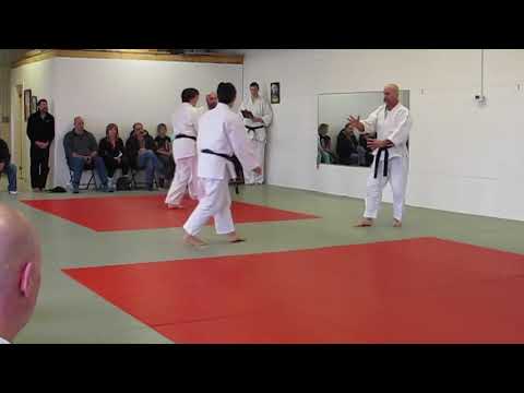 Aikido Seiryukan - Kihon Dosa to Kenren Waza