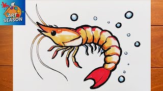 How to Draw a Shrimp Step by Step