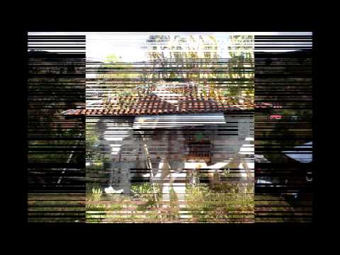 LOS CONQUISTADORES - LEJOS DE MI TIERRA