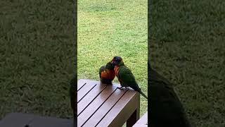 Kiss Kiss Kiss - John Lennon &amp; Yoko Ono