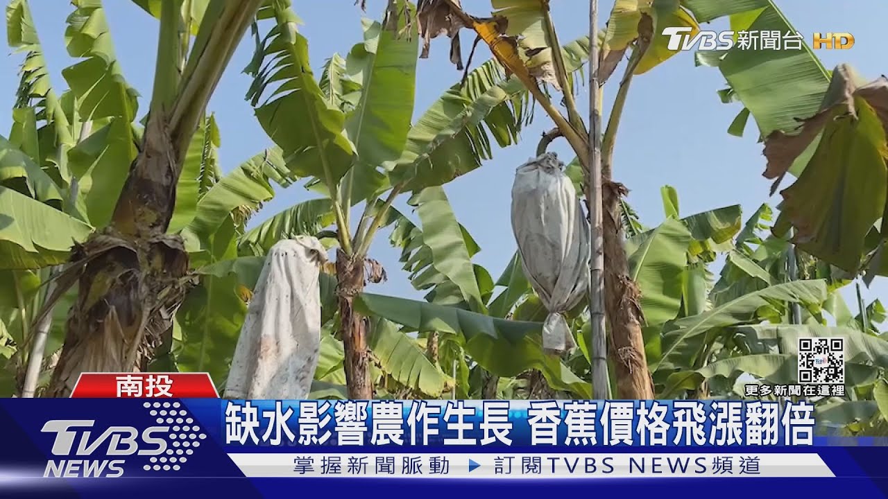 水情吃緊全球抗旱　陳建仁：鑿井、伏流水奏效