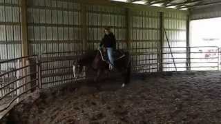 Need No Invitation - Gizmo