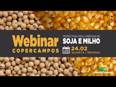 PERSPECTIVAS PARA O MERCADO DE SOJA E MILHO