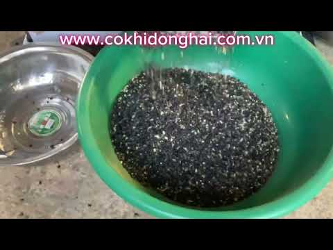 Máy lọc sạn, làm sạch, tách tạp chất đậu đen 2 t/h đi Gia Lai