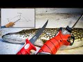 The Only NORTHERN PIKE FILLET Tutorial You'll Ever Need!
