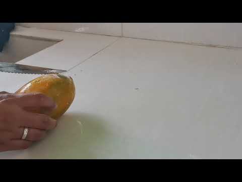 🥶What happens when you freeze papaya?❄️🍬 Papaya ice candy