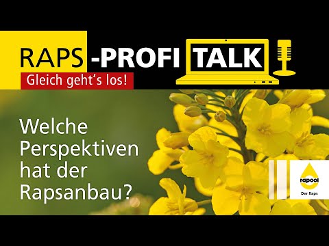 RAPS-PROFI-TALK 2023: Welche Perspektiven hat der Rapsanbau?