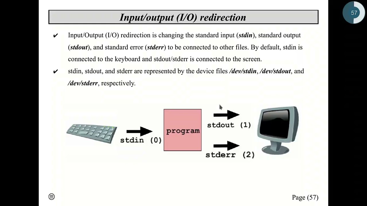 Operating Systems Lab Lectures Exp05