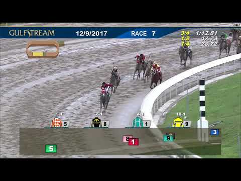 Gulfstream Park Race 7 | December 9, 2017