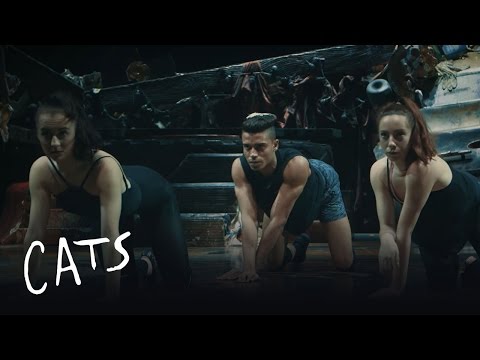 HOW TO BE A CAT - How hands become paws | Cats the Musical