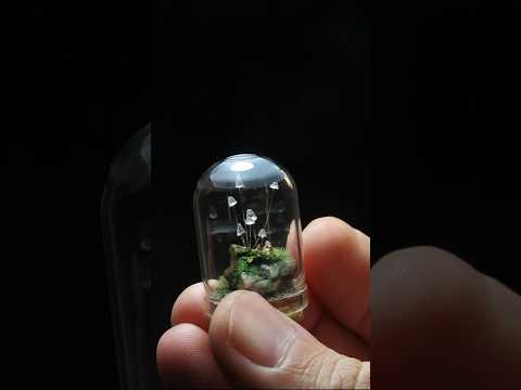 Forest Gems 💎 🍄 ...#tinythings #minithings #miniature  #diorama #miniatures #mushroom #mushroomart