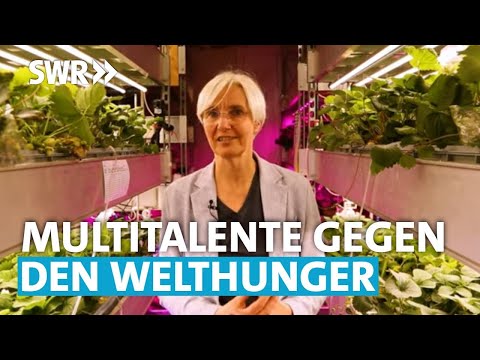 , title : 'Pflanzen gegen Dürre | SWR Wissen'