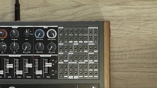 MiniBrute 2 Ecosystem Tutorials: Episode 02 - The PatchBay
