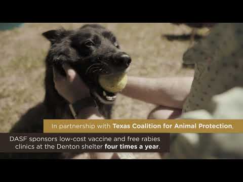 North Texas Giving Day