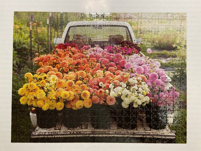 Vídeo relacionado con Lechón Campo de Flores Puzzle 500 Piezas Educativo Impresión HD Juego De Rompecabezas para Familia Entretenimiento Inteligente Construir Maquetas 500 PCS
