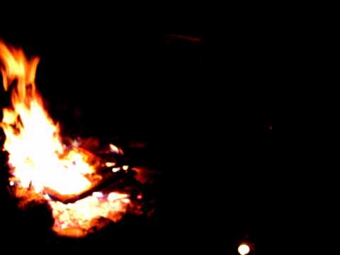 BaŽin BoYz - Anarchy in the bushes