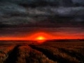 Rise Up - David Crowder*Band 