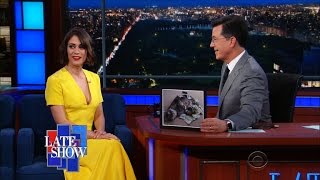 Lizzy Caplan's Cat Is Named "Colbert"